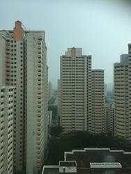 Oleander Towers (D12), Apartment #136298532